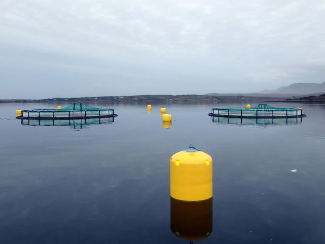 Инновационный проект Intelligent Buoy (2020 – ) 2